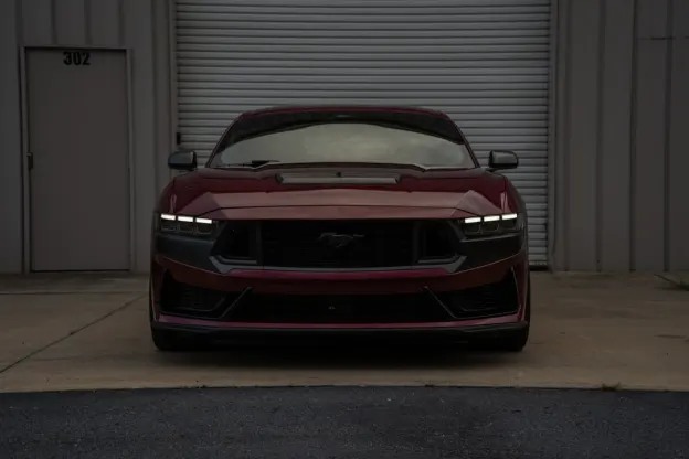 קזינו בינגו בוטמניה אפליקציית Android/iOS